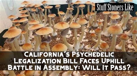 Psychedelic Decriminalization Bill Passes CA Assembly
